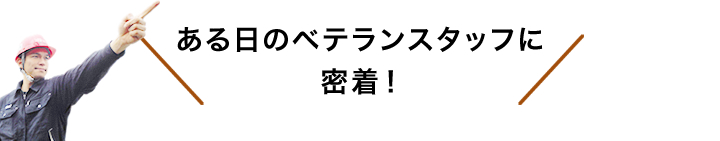 ある日のベテランスタッフに密着！